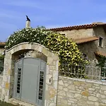 Blue Jasmine Aigio
