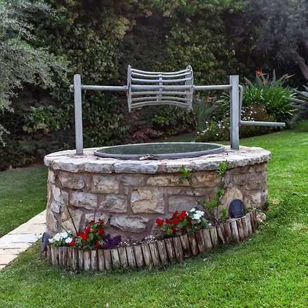 Blue Jasmine Эйон