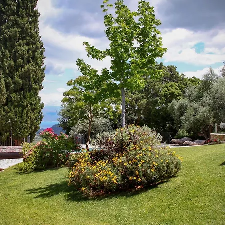Blue Jasmine - Private Pool And Garden